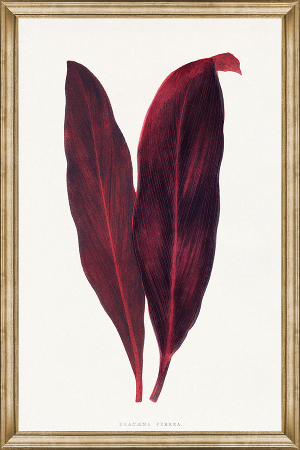 Burgundy Leaves II, glass framed art, full view