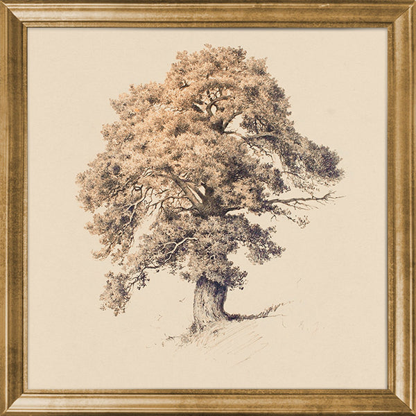 Vintage Pine Tree, glass framed art, full view