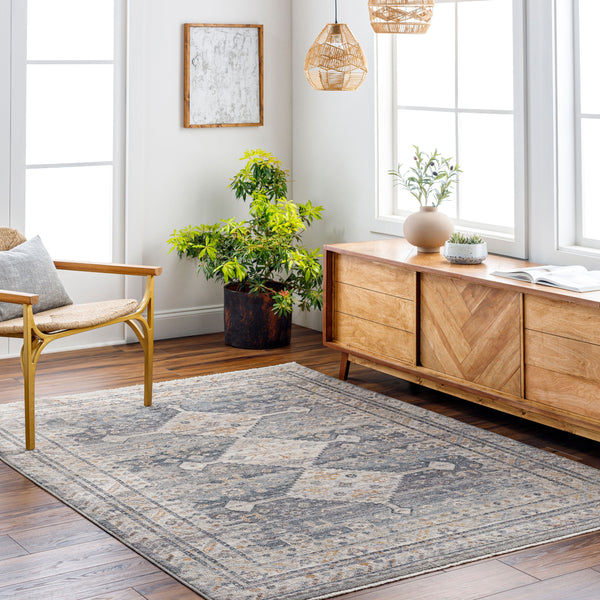 Aida Machine Woven Rug in Medium Gray
