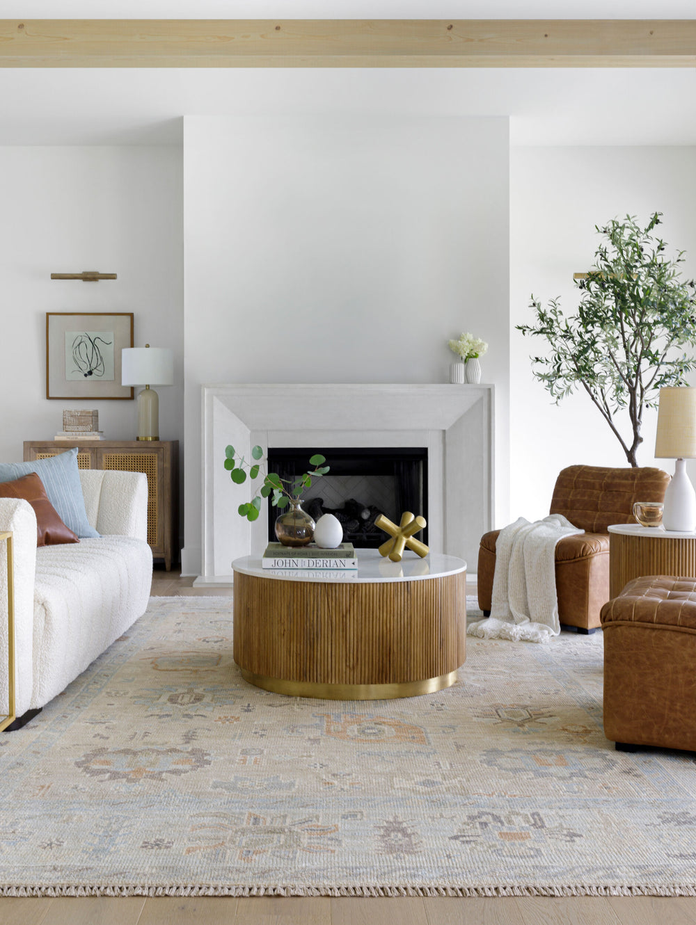 Antalya Hand Knotted Rug AAT-2314 in Light Brown, styled in a room