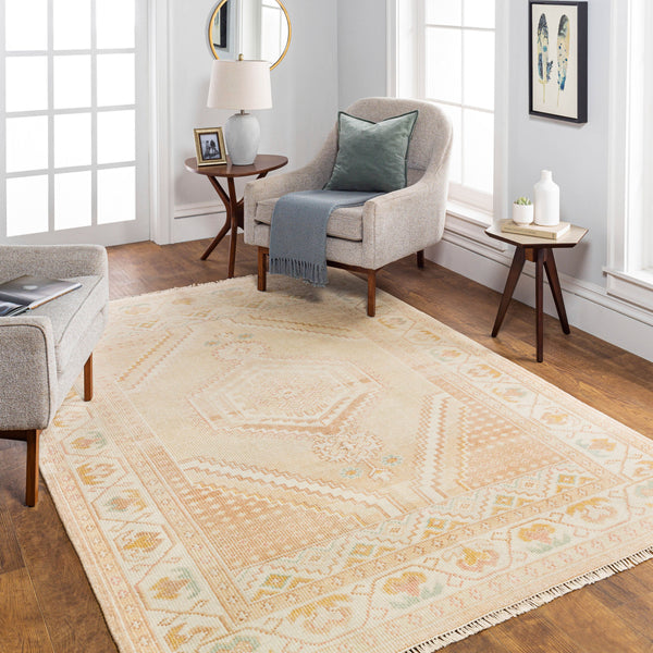 Anadolu Hand Knotted Rug AAU-2305 in Beige, styled in a room