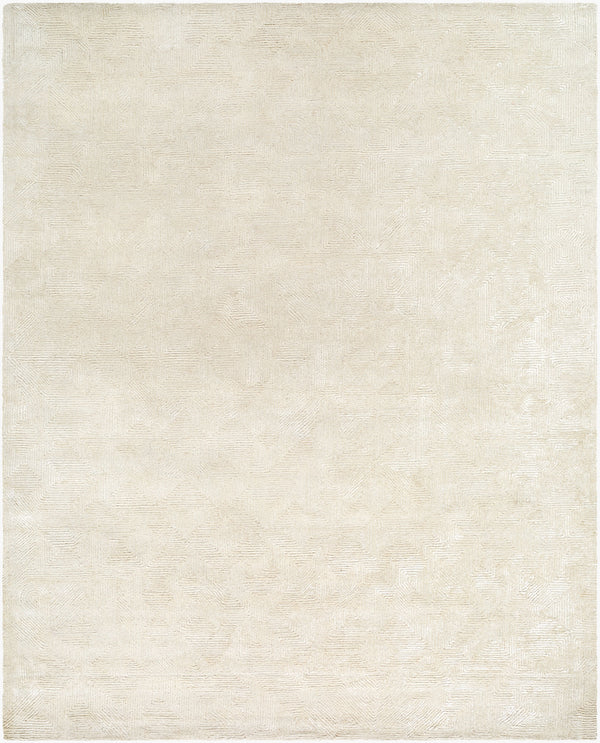 Addison ADD-2305 Handmade Rug
