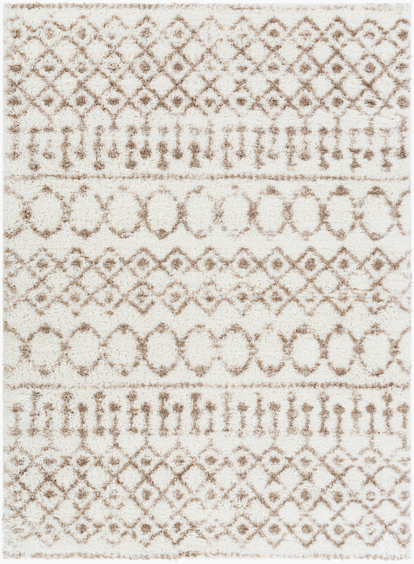 Aliyah Shag ALH-2303 Machine Woven Rug