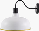 Ammi Wall Sconce