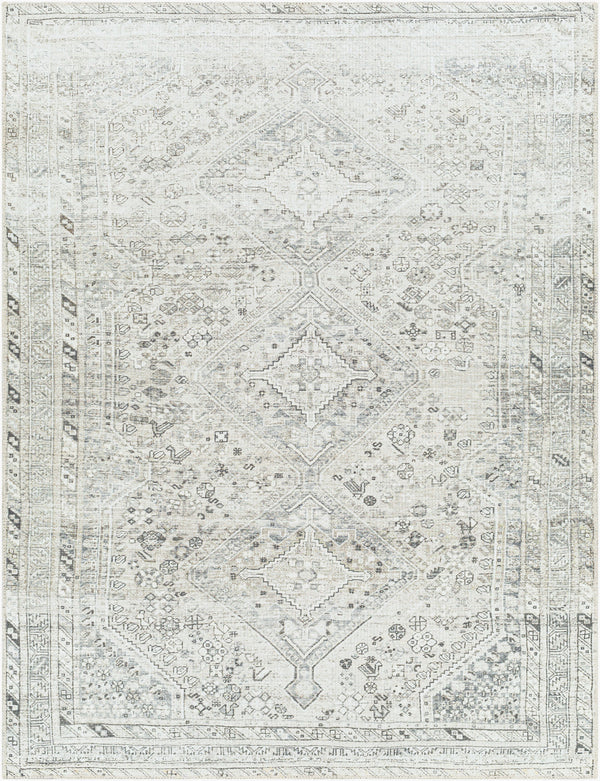 Amelie AML-2379 Machine Woven Rug
