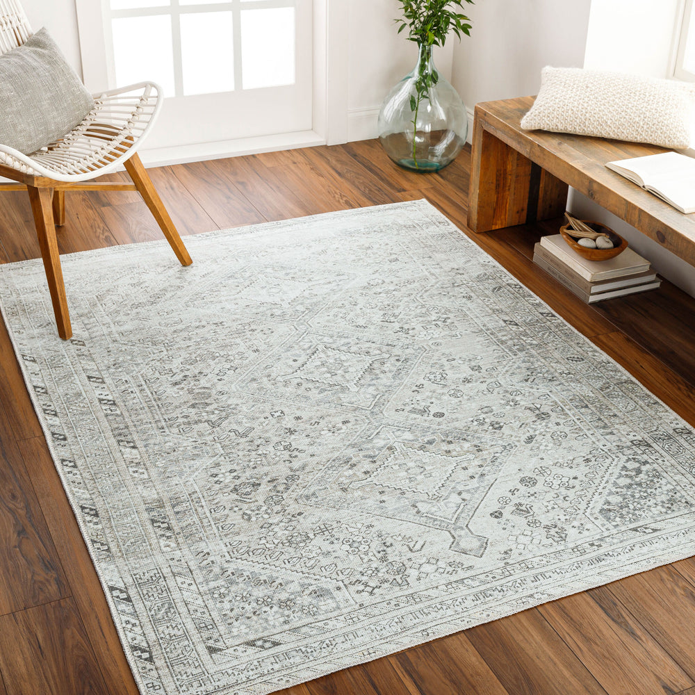 Amelie Machine Woven Rug AML-2379 in Off-White, styled in a room