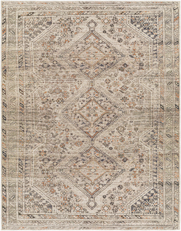 Amelie AML-2383 Machine Woven Rug