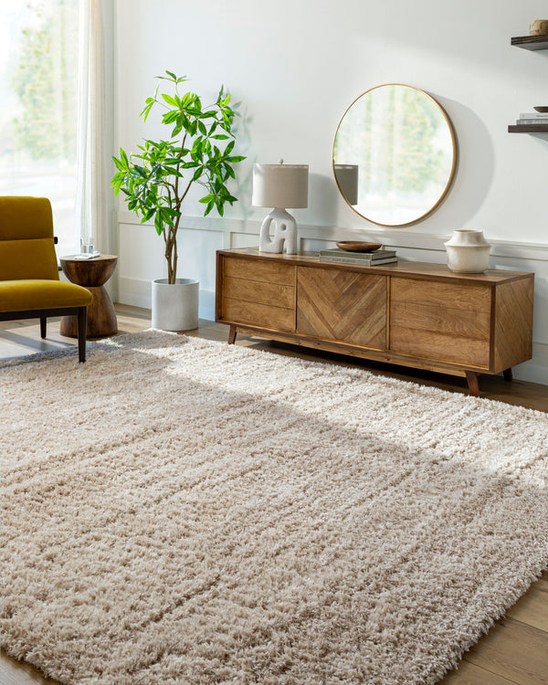 Angora Machine Woven Rug ANG-2301 in Oatmeal, styled in a room