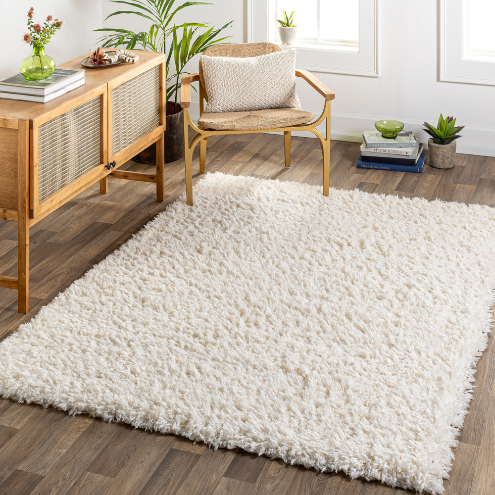 Angora Machine Woven Rug ANG-2304 in Cream, styled in a room