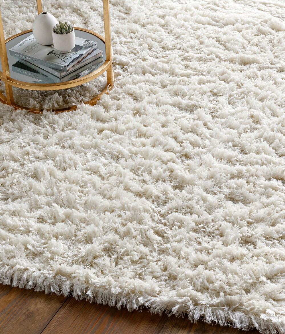 Ashton Hand Woven Rug ASH-1300 in Cream, styled in a room