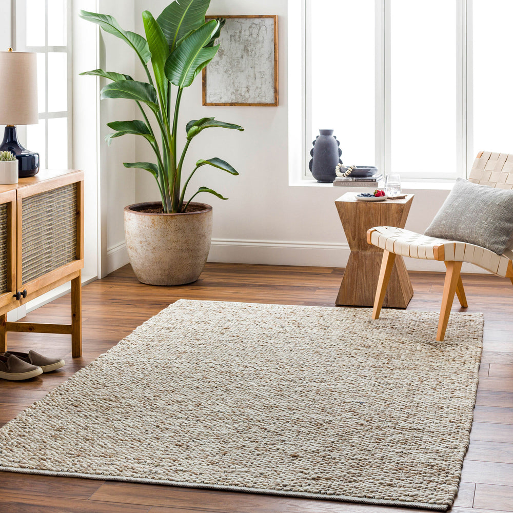 Brea Hand Woven Rug BRR-2300 in Beige, styled in a room