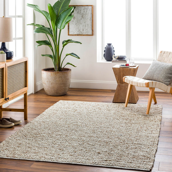 Brea Hand Woven Rug BRR-2300 in Beige, styled in a room