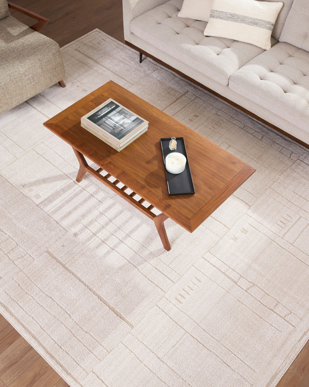 Alma Machine Woven Rug EDAL-2301 in Ivory, styled in a room
