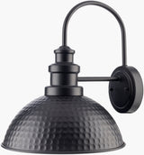 Elfand Wall Sconce