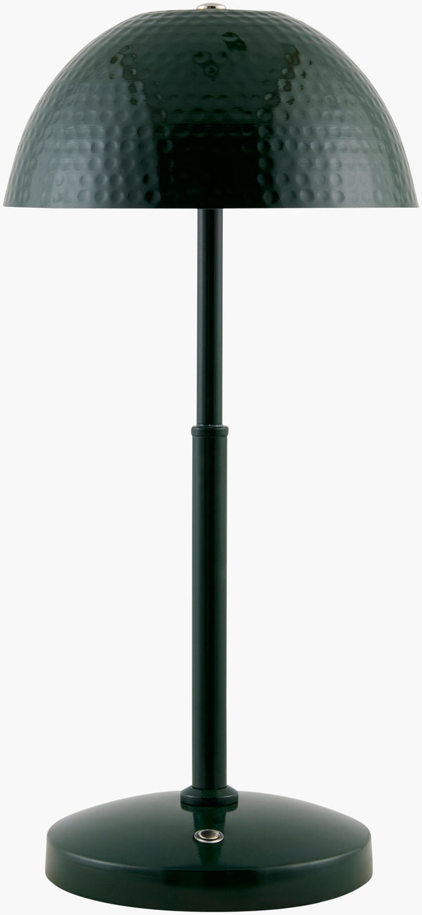 Elvas Accent Table Lamp
