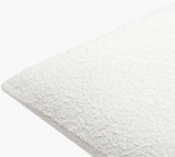 Eesha Accent Pillow