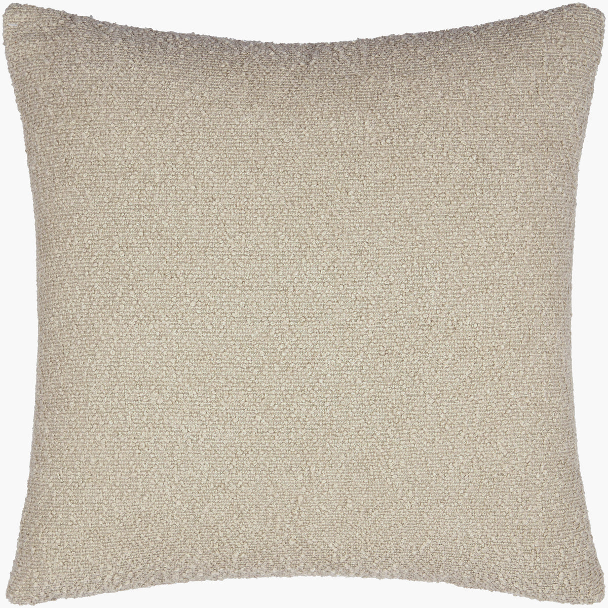 Eesha Accent Pillow