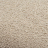 Eesha Accent Pillow