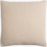 Eesha Accent Pillow