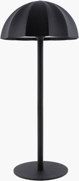 Furnas Accent Table Lamp FRN-013 in black, view 2 of 4