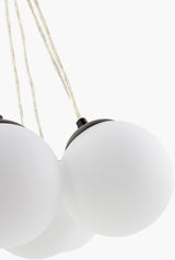Liora Chandelier