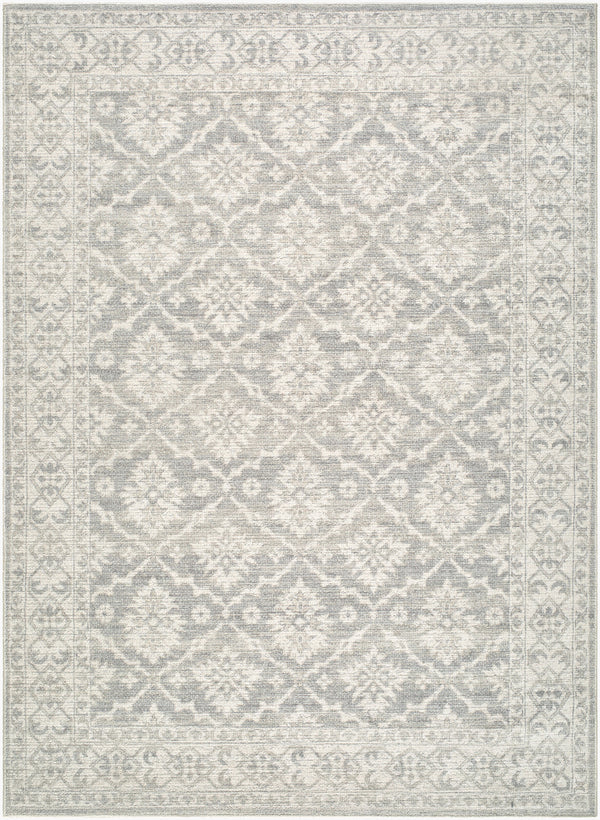 Aram Machine Woven Rug