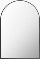 Aranya Accent Mirror