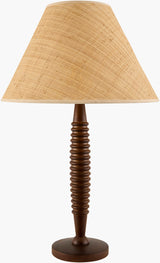 Ziniare Accent Table Lamp